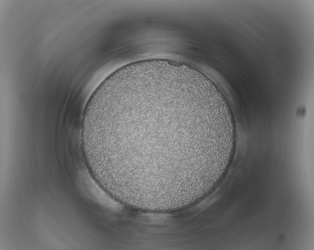 X0000111831244200908131539