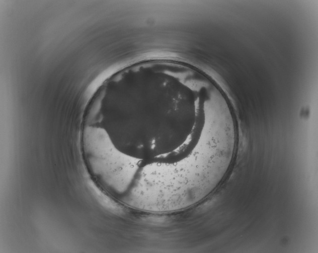 X0000111831245200908131539