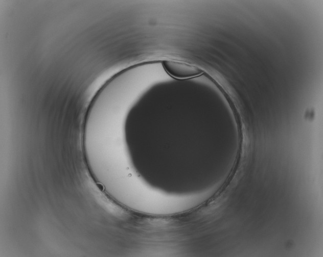 X0000111831246200908131539