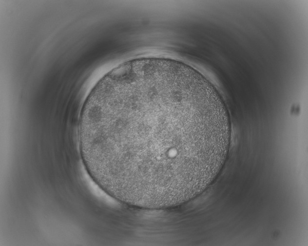 X0000111831247200908131539