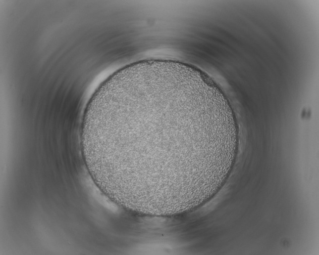 X0000111831248200908131539