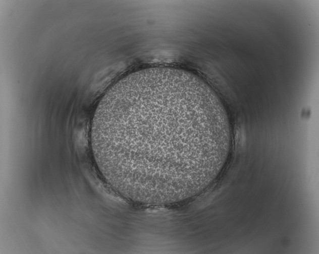 X0000111831250200908131538