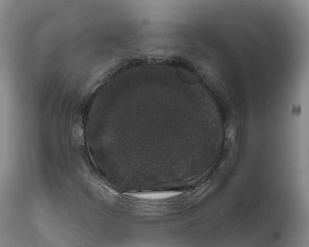 X0000111831252200908131538