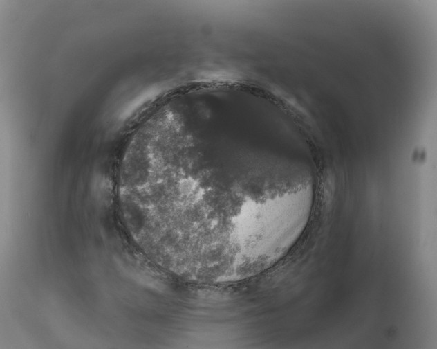 X0000111831254200908131538