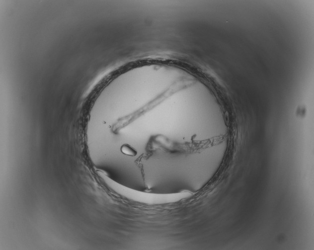 X0000111831256200908131538