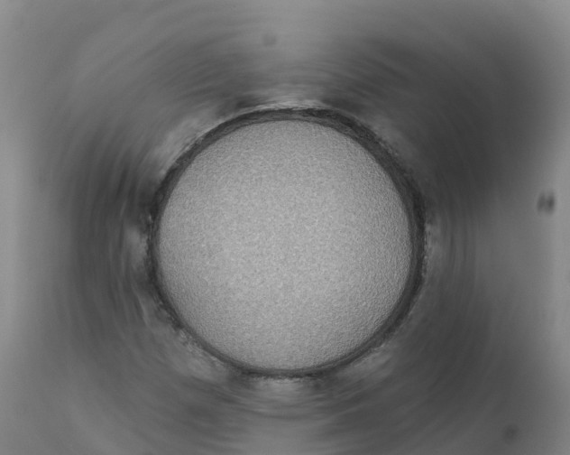 X0000111831257200908131538