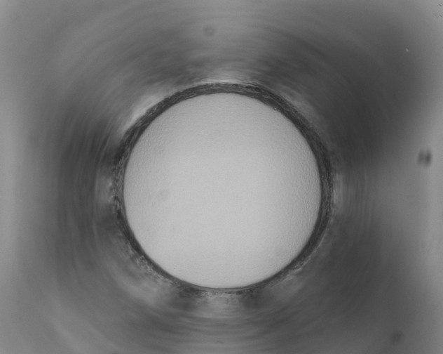 X0000111831258200908131537