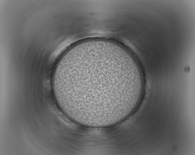 X0000111831259200908131537