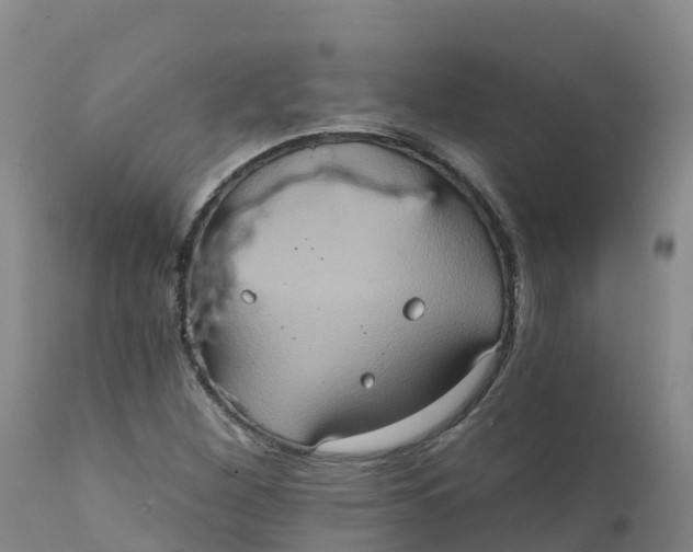 X0000111831260200908131537