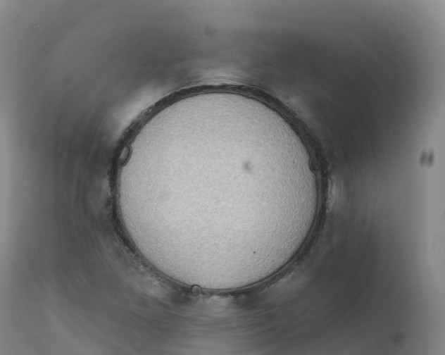 X0000111831261200908131537