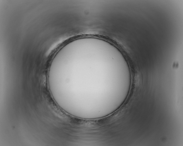 X0000111831262200908131537