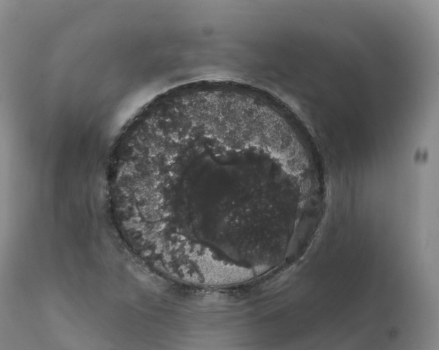 X0000111831263200908131537