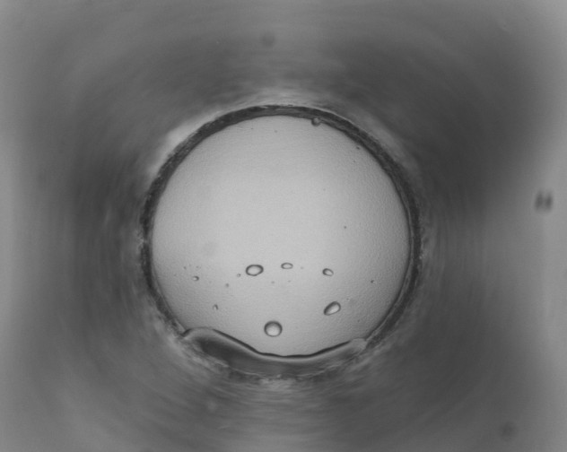 X0000111831264200908131537