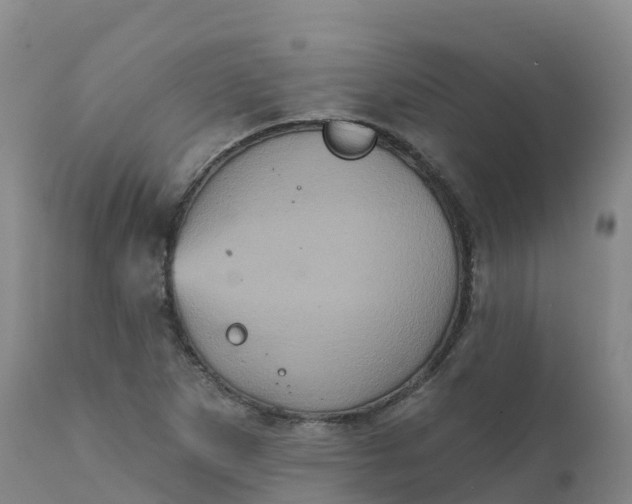 X0000111831265200908131537