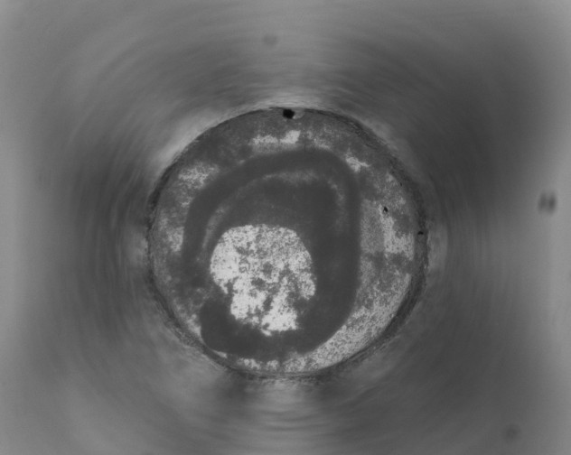 X0000111831266200908131537