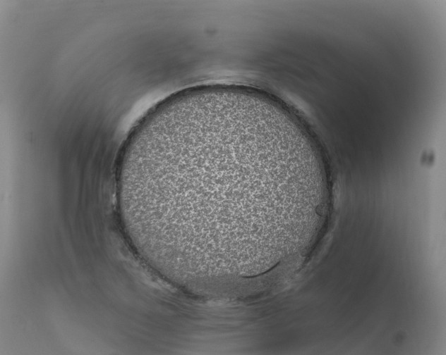 X0000111831267200908131537