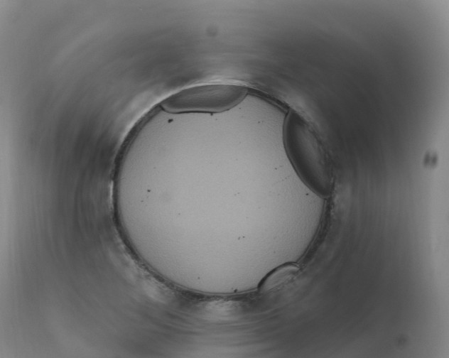 X0000111831268200908131537