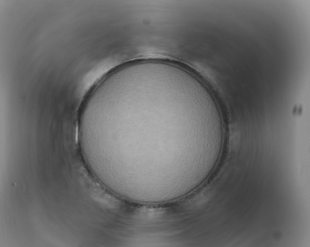 X0000111831269200908131537