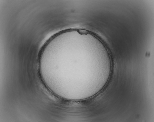 X0000111831270200908131537