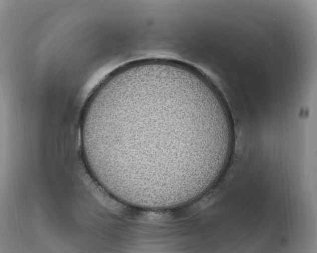 X0000111831271200908131537