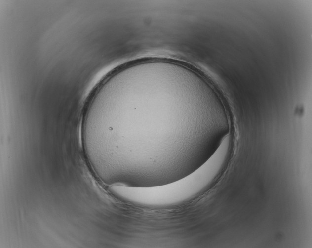 X0000111831272200908131537