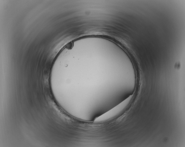 X0000111831273200908131537