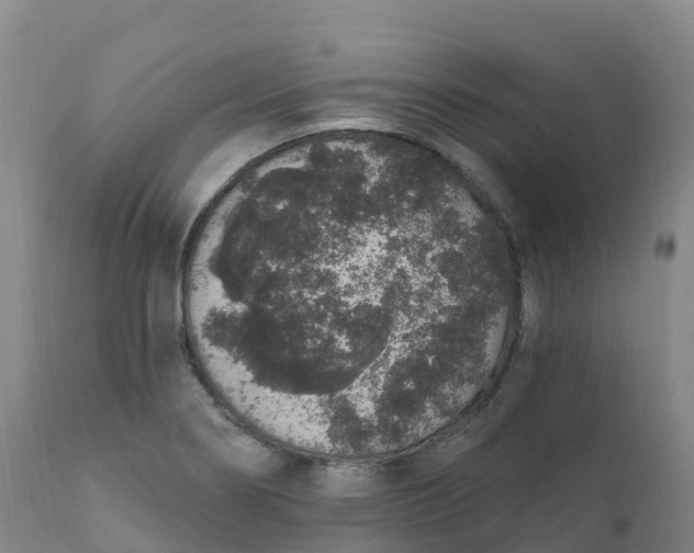 X0000111831274200908131537