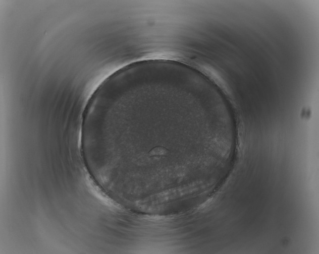 X0000111831276200908131537