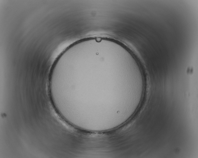 X0000111831277200908131537