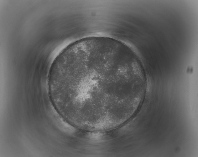 X0000111831278200908131537