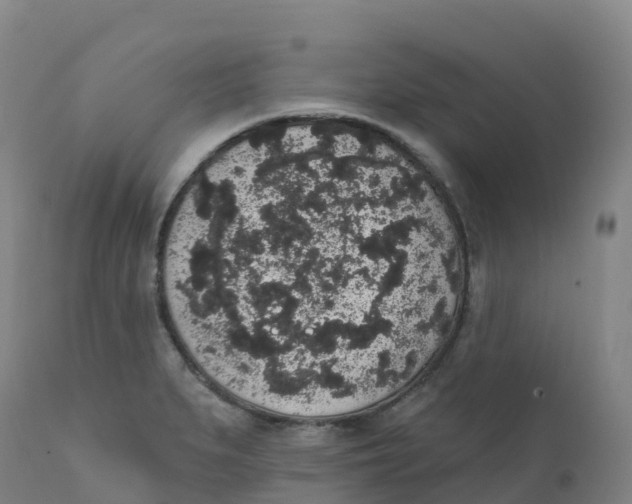 X0000111831279200908131537