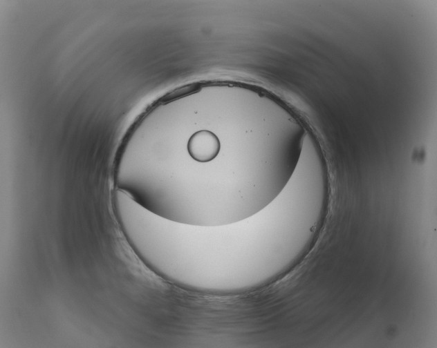 X0000111831280200908131537