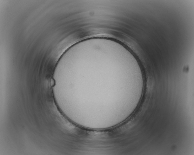 X0000111831281200908131537