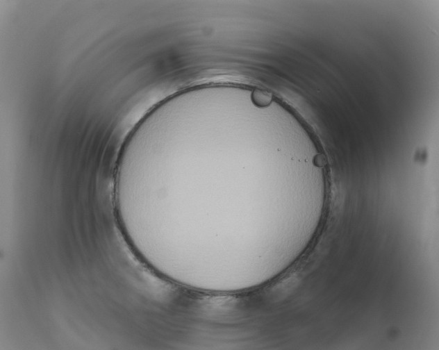 X0000111831282200908131537