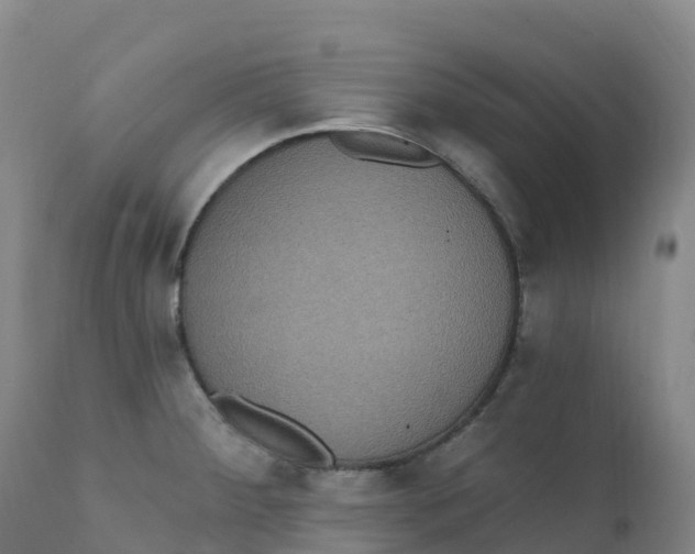 X0000111831284200908131537