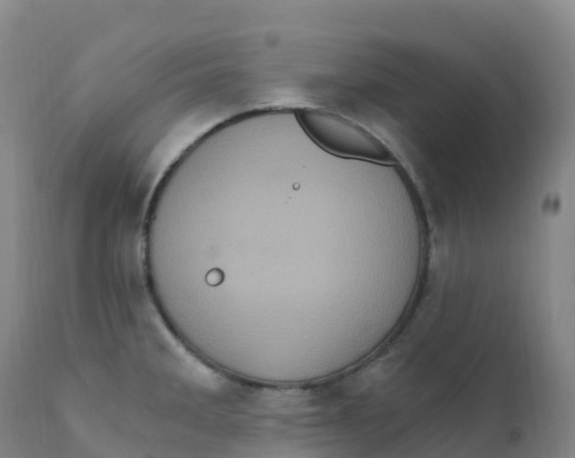 X0000111831285200908131537