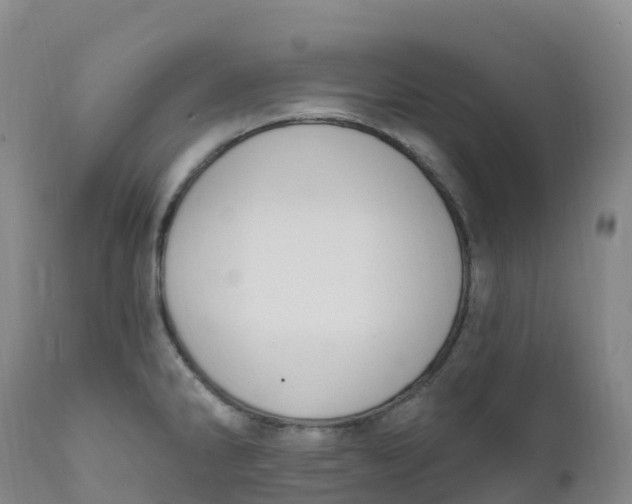 X0000111831286200908131537