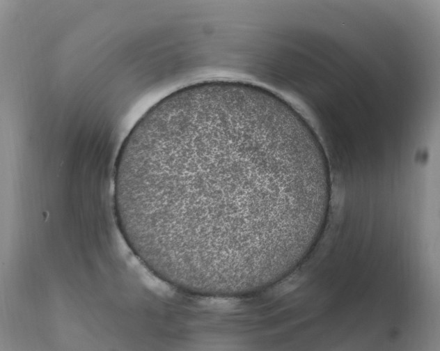 X0000111831287200908131537