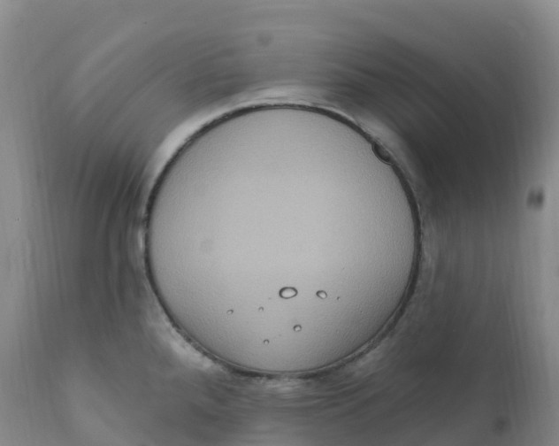 X0000111831288200908131537