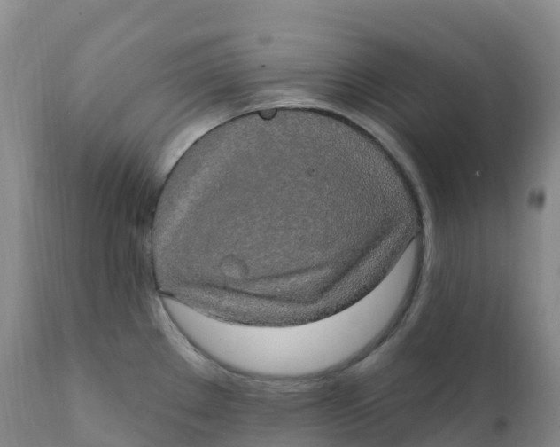 X0000111831289200908131537