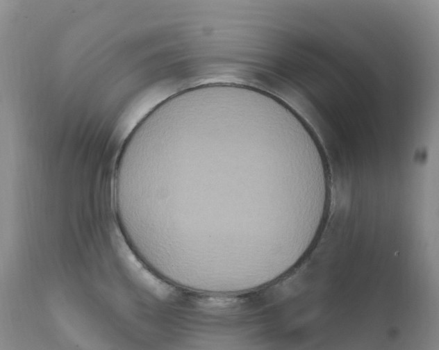 X0000111831290200908131537