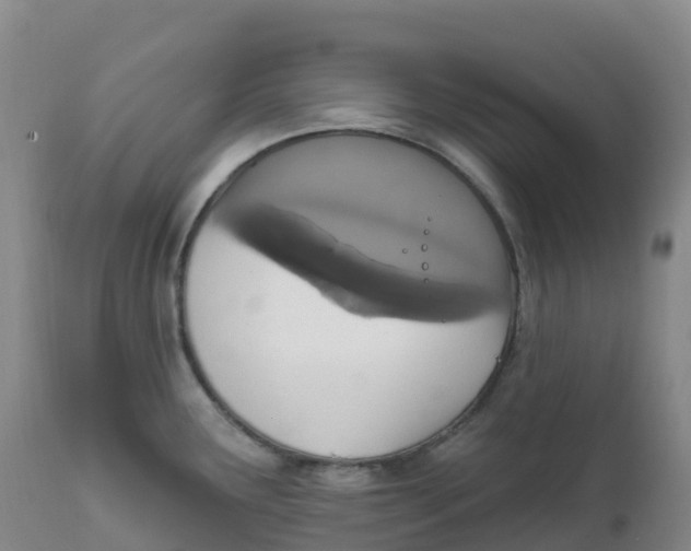 X0000111831291200908131537