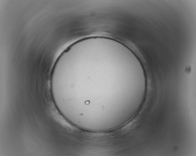 X0000111831292200908131537