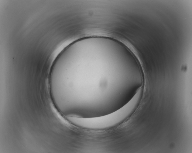 X0000111831293200908131537