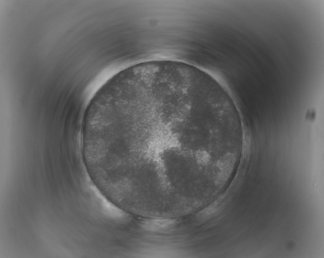 X0000111831294200908131537