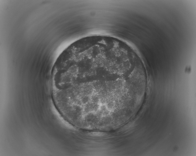 X0000111831295200908131537