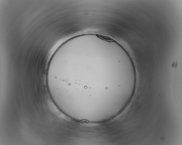 X0000111831296200908131537