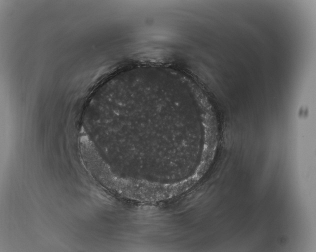 X0000111831297200908131536