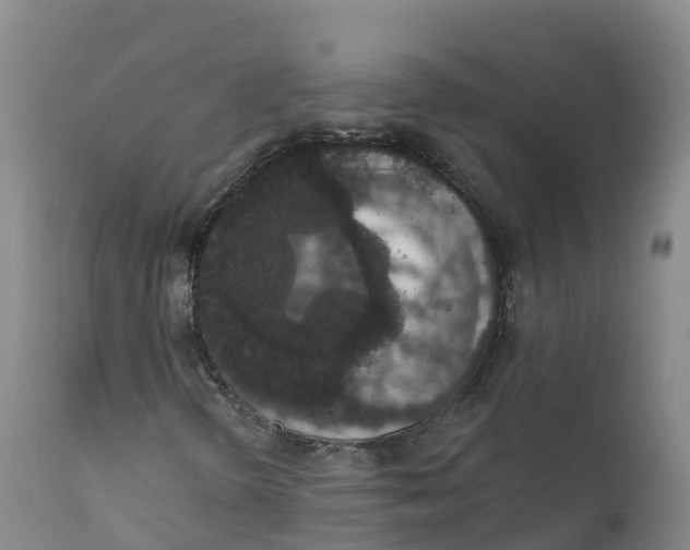 X0000111831298200908131536