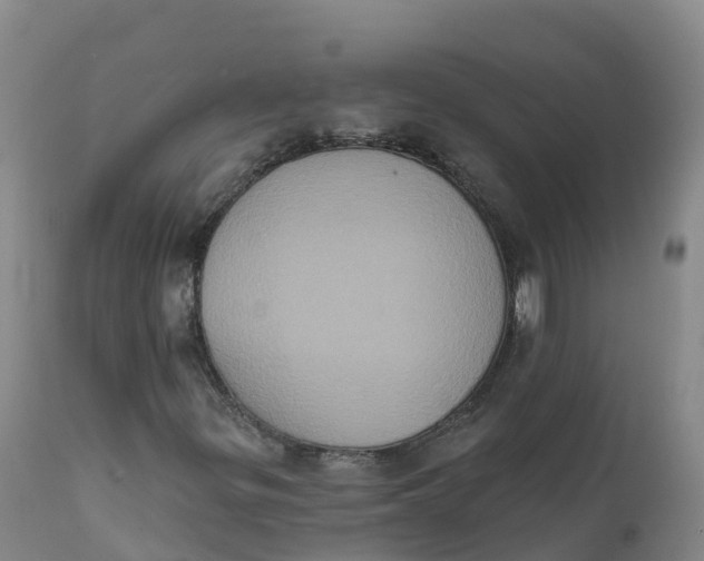 X0000111831299200908131536